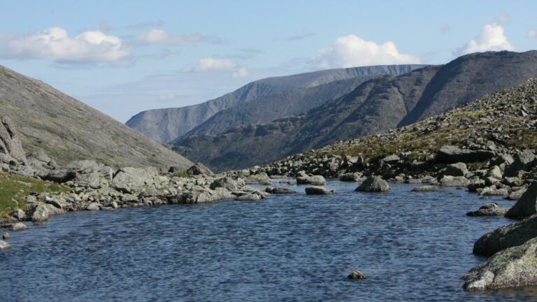 Fear and Loathing in Kirovsk