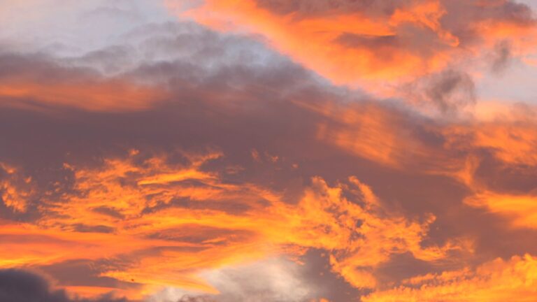 Fish in thick tomato sauce